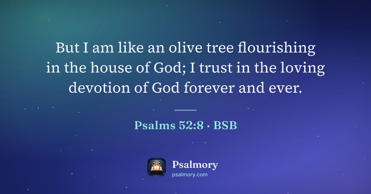 Psalm 52:8 verse artwork: But I am like an olive tree flourishing in the house of God; I trust in the loving…