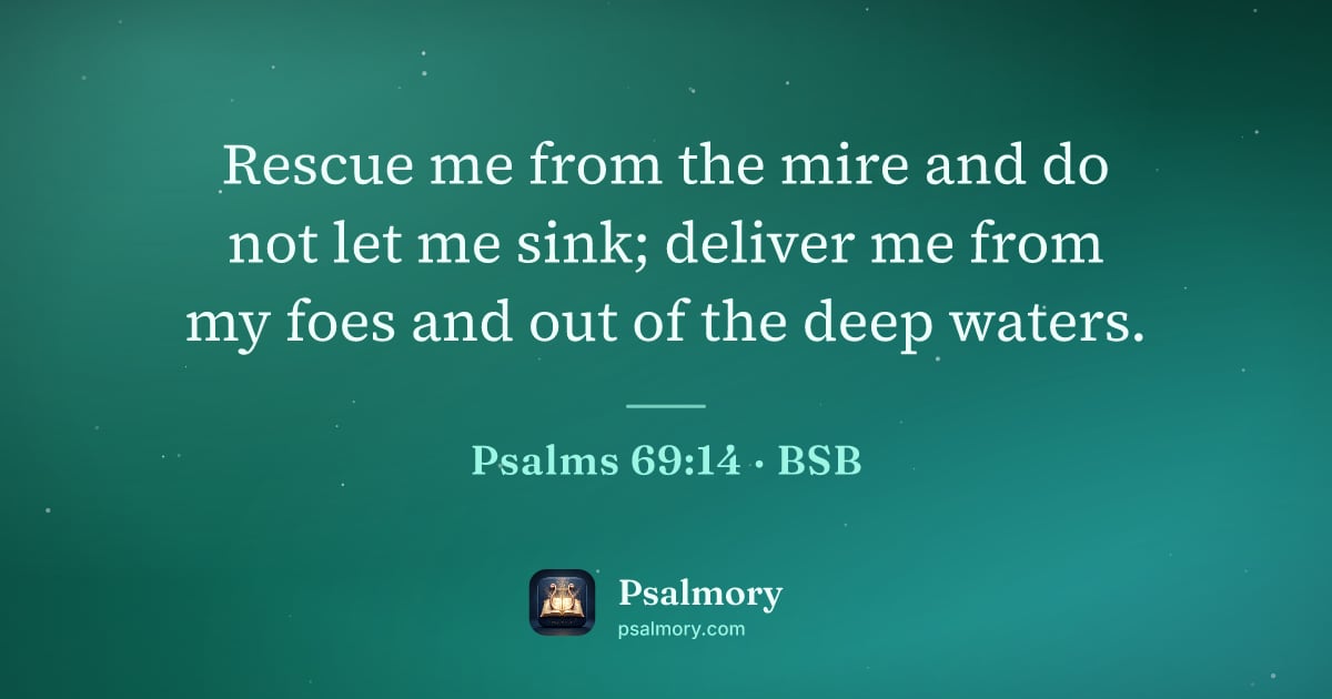 Psalm 69:14 verse artwork: Rescue me from the mire and do not let me sink; deliver me from my foes and out of the…