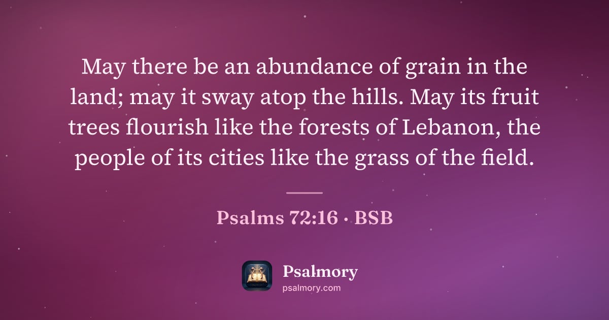 Psalm 72:16 verse artwork: May there be an abundance of grain in the land; may it sway atop the hills. May its…