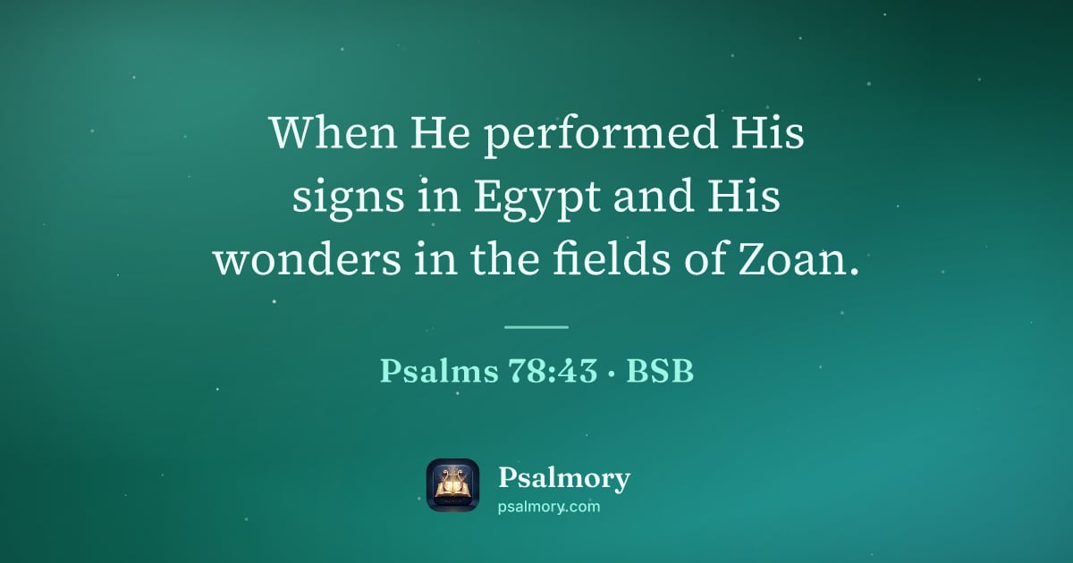 Psalm 78:43 verse artwork: When He performed His signs in Egypt and His wonders in the fields of Zoan.