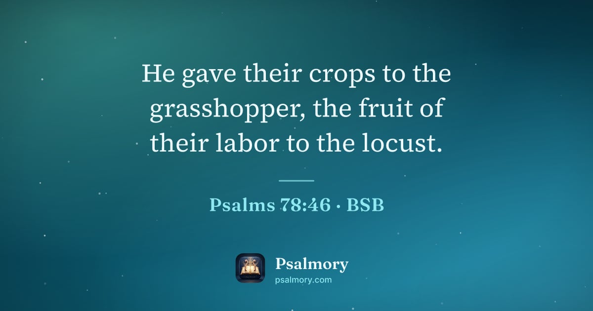 Psalm 78:46 verse artwork: He gave their crops to the grasshopper, the fruit of their labor to the locust.
