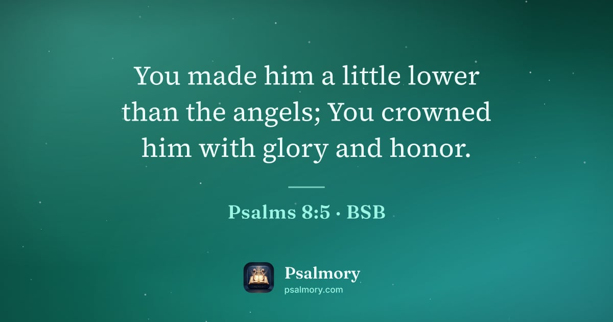Psalm 8:5 verse artwork: You made him a little lower than the angels; You crowned him with glory and honor.