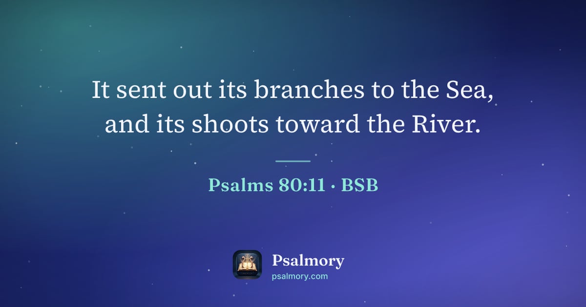 Psalm 80:11 verse artwork: It sent out its branches to the Sea, and its shoots toward the River.