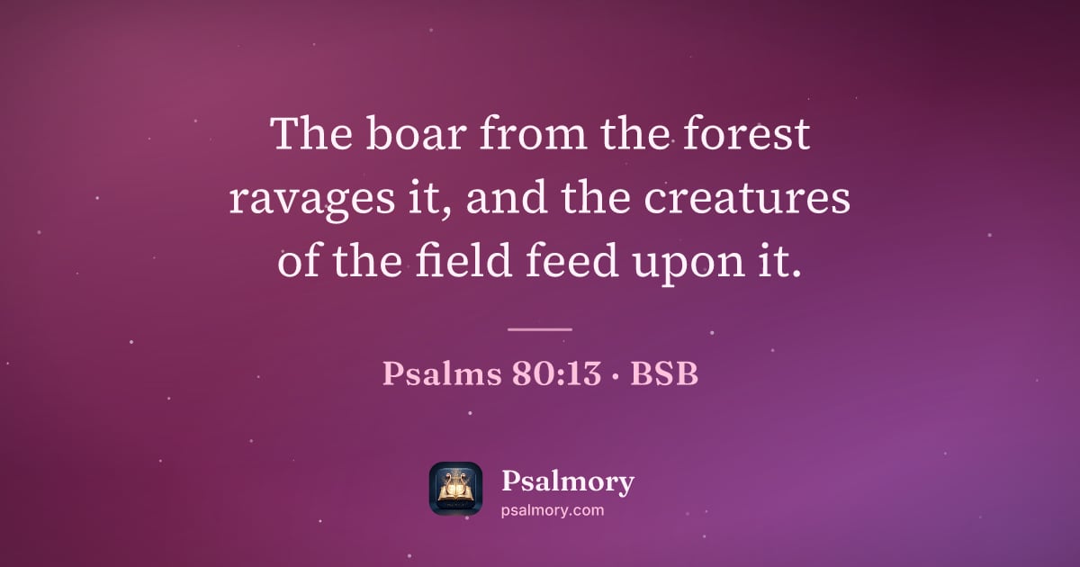 Psalm 80:13 verse artwork: The boar from the forest ravages it, and the creatures of the field feed upon it.