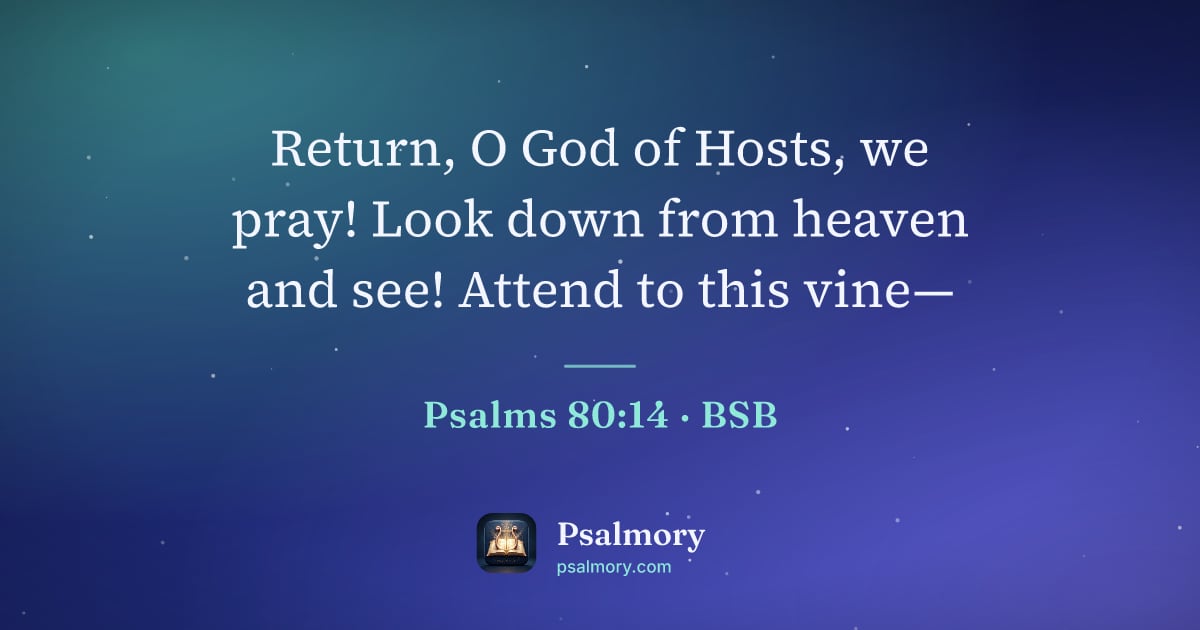 Psalm 80:14 verse artwork: Return, O God of Hosts, we pray! Look down from heaven and see! Attend to this vine—