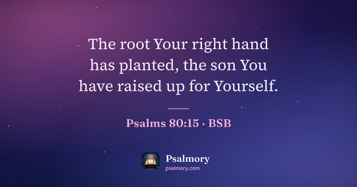 Psalm 80:15 verse artwork: The root Your right hand has planted, the son You have raised up for Yourself.