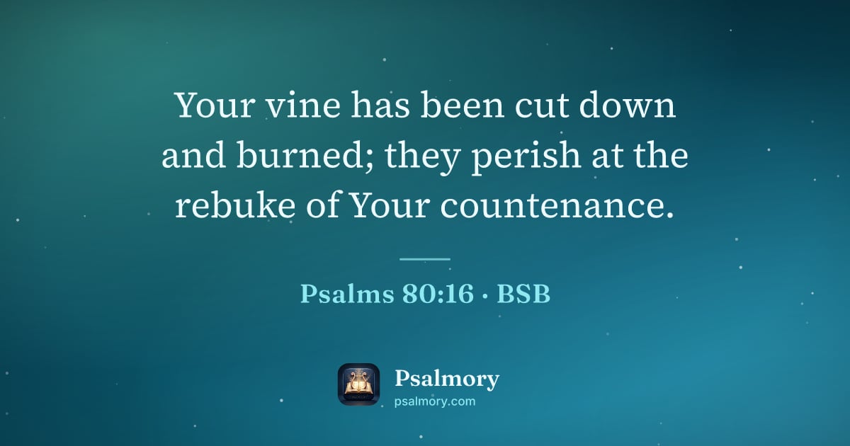 Psalm 80:16 verse artwork: Your vine has been cut down and burned; they perish at the rebuke of Your countenance.