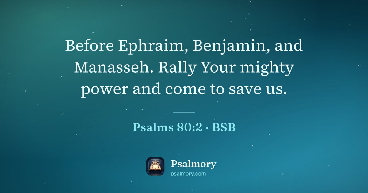 Psalm 80:2 verse artwork: Before Ephraim, Benjamin, and Manasseh. Rally Your mighty power and come to save us.
