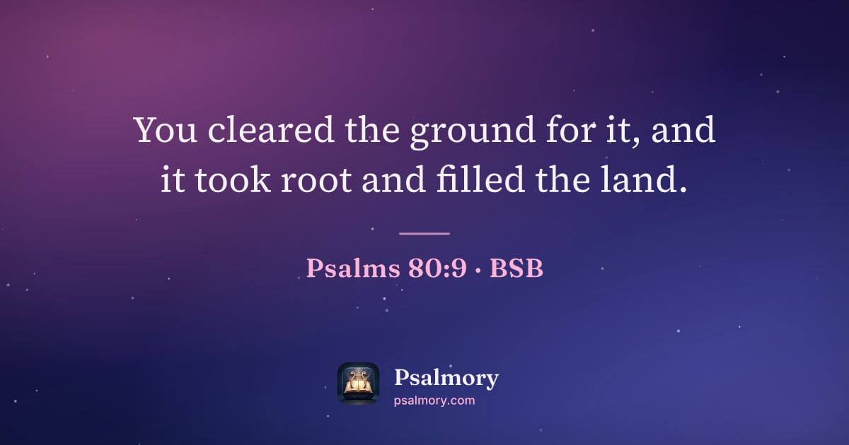 Psalm 80:9 verse artwork: You cleared the ground for it, and it took root and filled the land.