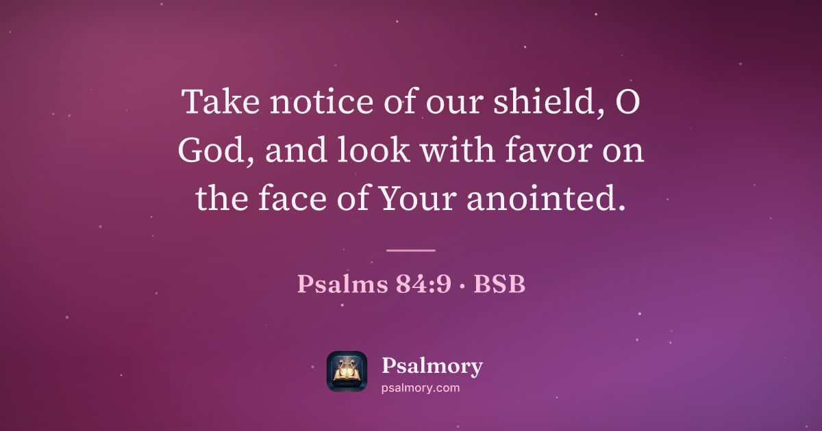 Psalm 84:9 verse artwork: Take notice of our shield, O God, and look with favor on the face of Your anointed.