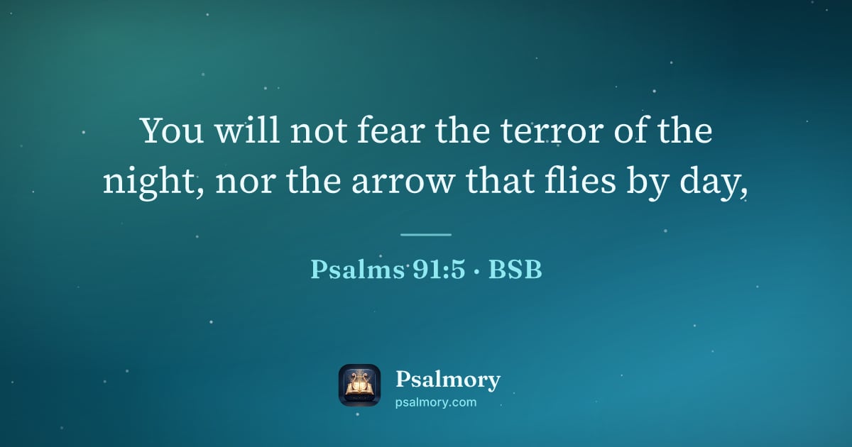 Psalm 91:5 verse artwork: You will not fear the terror of the night, nor the arrow that flies by day,