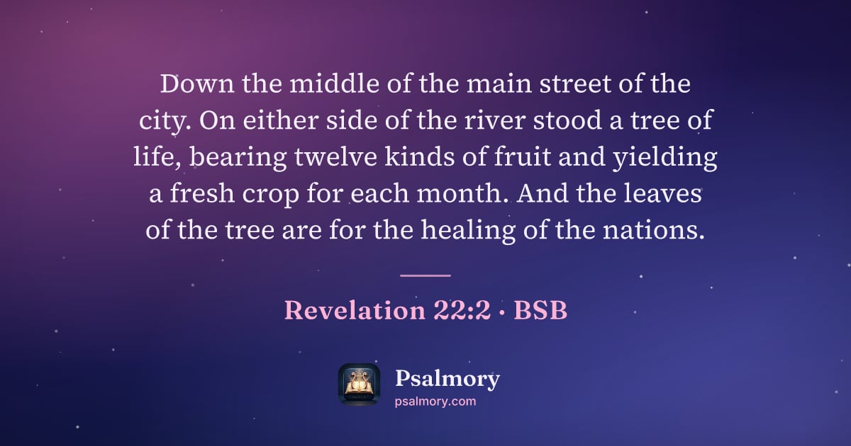 Revelation 22:2 verse artwork: Down the middle of the main street of the city. On either side of the river stood a tree…