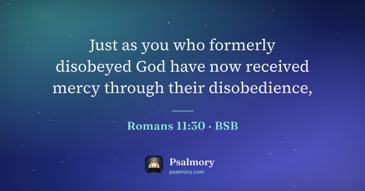 Romans 11:30 verse artwork: Just as you who formerly disobeyed God have now received mercy through their disobedience,