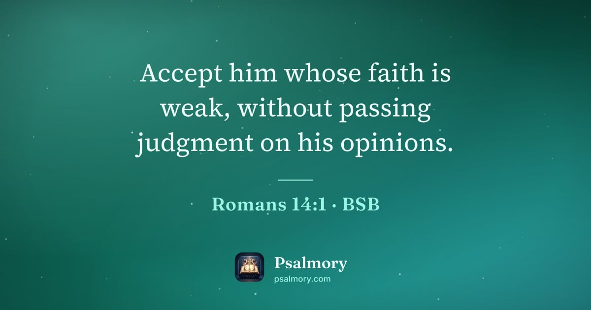 Romans 14:1 verse artwork: Accept him whose faith is weak, without passing judgment on his opinions.