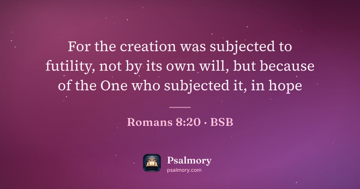 Romans 8:20 verse artwork: For the creation was subjected to futility, not by its own will, but because of the One…