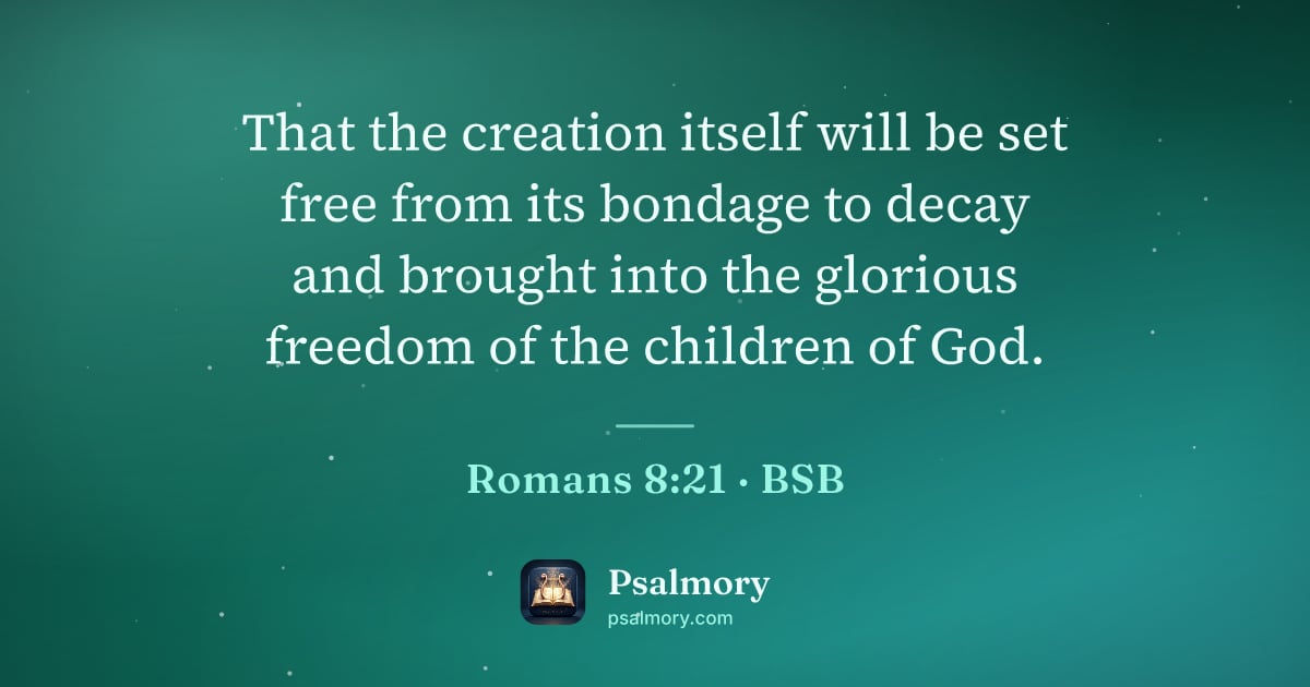 Romans 8:21 verse artwork: That the creation itself will be set free from its bondage to decay and brought into the…