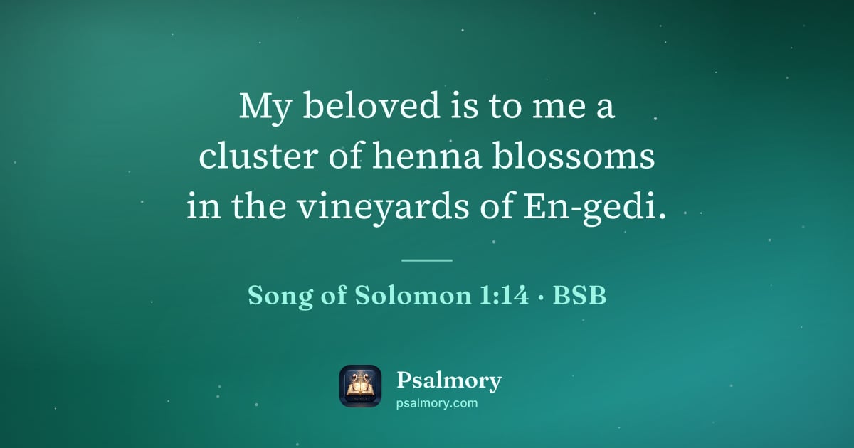 Song of Solomon 1:14 verse artwork: My beloved is to me a cluster of henna blossoms in the vineyards of En-gedi.