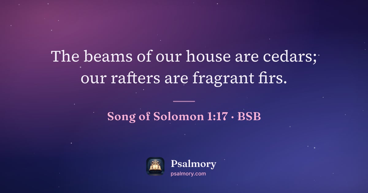 Song of Solomon 1:17 verse artwork: The beams of our house are cedars; our rafters are fragrant firs.
