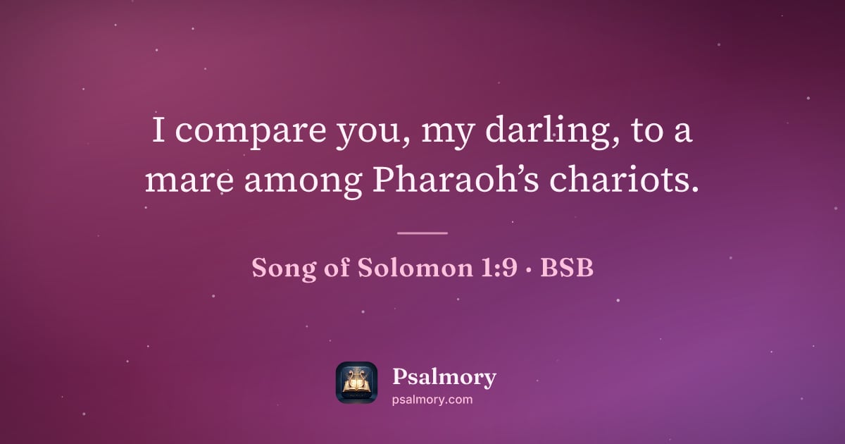 Song of Solomon 1:9 verse artwork: I compare you, my darling, to a mare among Pharaoh’s chariots.