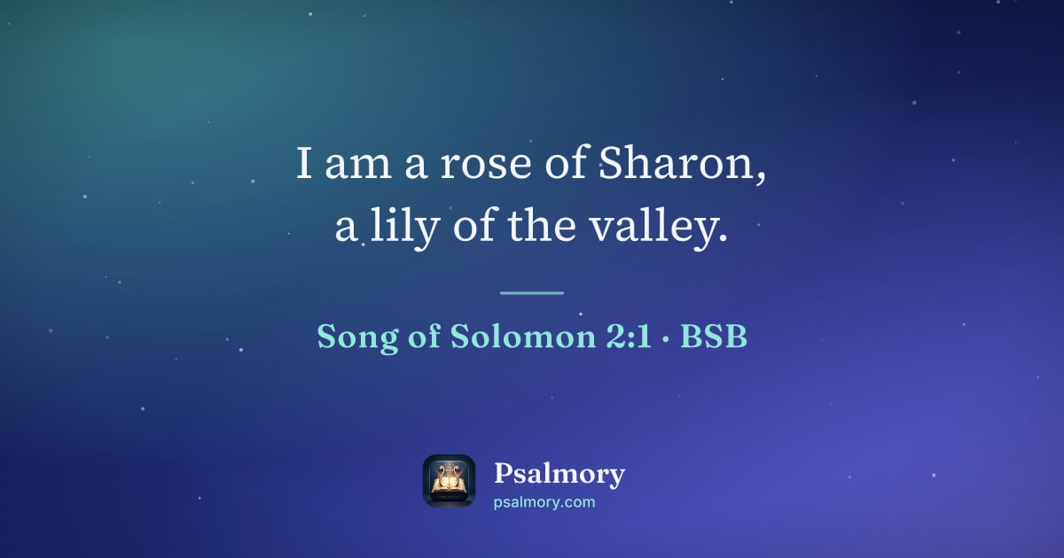 Song of Solomon 2:1 verse artwork: I am a rose of Sharon, a lily of the valley.