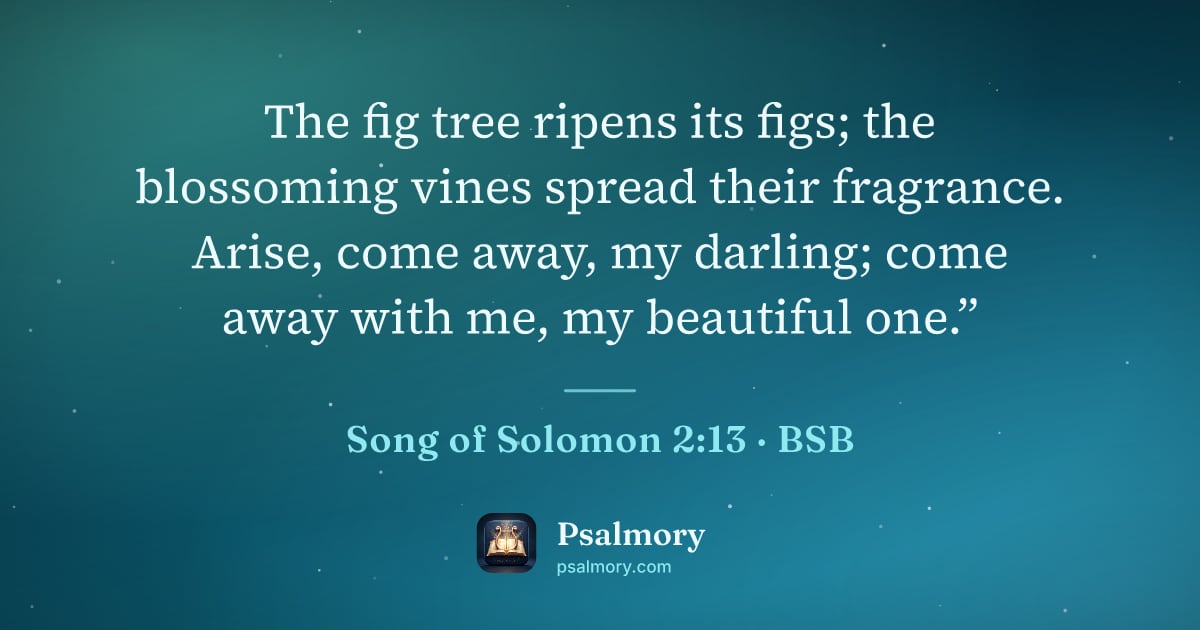 Song of Solomon 2:13 verse artwork: The fig tree ripens its figs; the blossoming vines spread their fragrance. Arise, come…