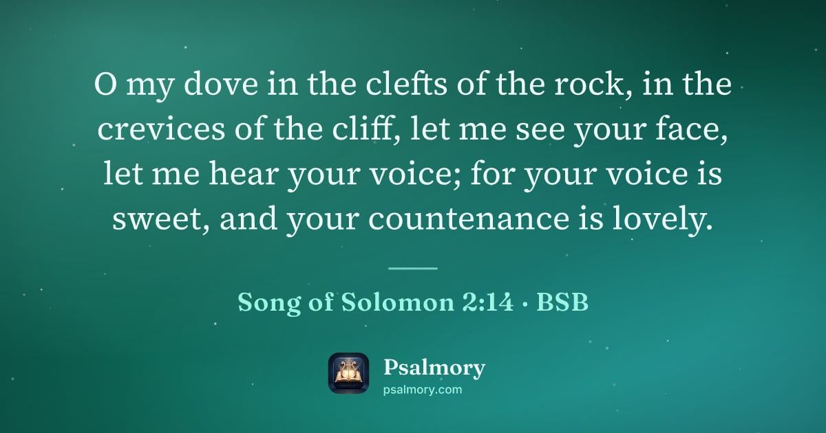 Song of Solomon 2:14 verse artwork: O my dove in the clefts of the rock, in the crevices of the cliff, let me see your face,…