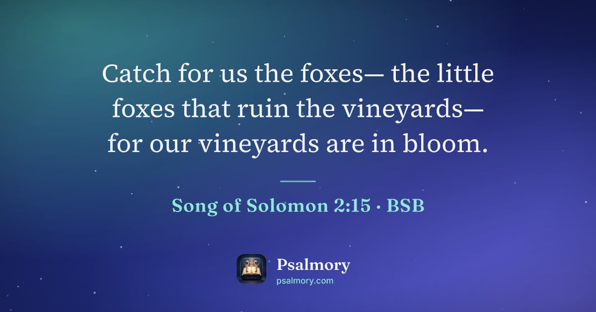 Song of Solomon 2:15 verse artwork: Catch for us the foxes— the little foxes that ruin the vineyards— for our vineyards are…