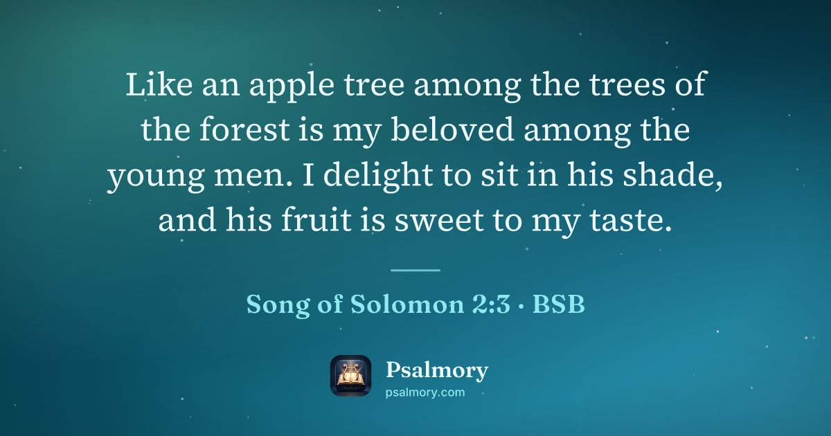 Song of Solomon 2:3 verse artwork: Like an apple tree among the trees of the forest is my beloved among the young men. I…