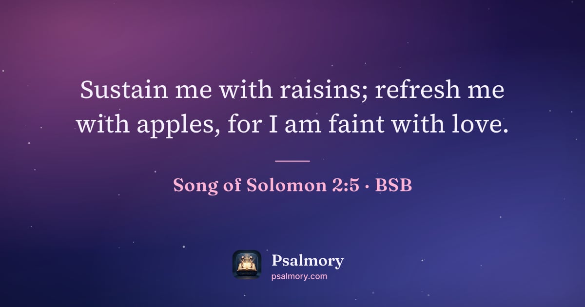 Song of Solomon 2:5 verse artwork: Sustain me with raisins; refresh me with apples, for I am faint with love.