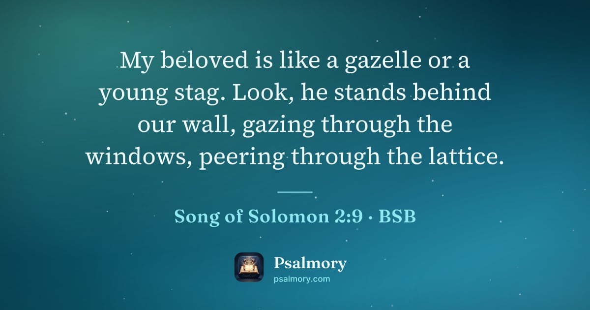 Song of Solomon 2:9 verse artwork: My beloved is like a gazelle or a young stag. Look, he stands behind our wall, gazing…