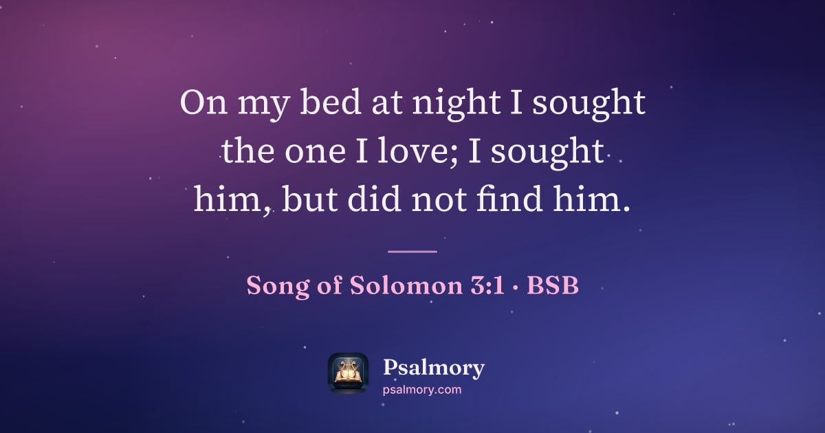 Song of Solomon 3:1 verse artwork: On my bed at night I sought the one I love; I sought him, but did not find him.