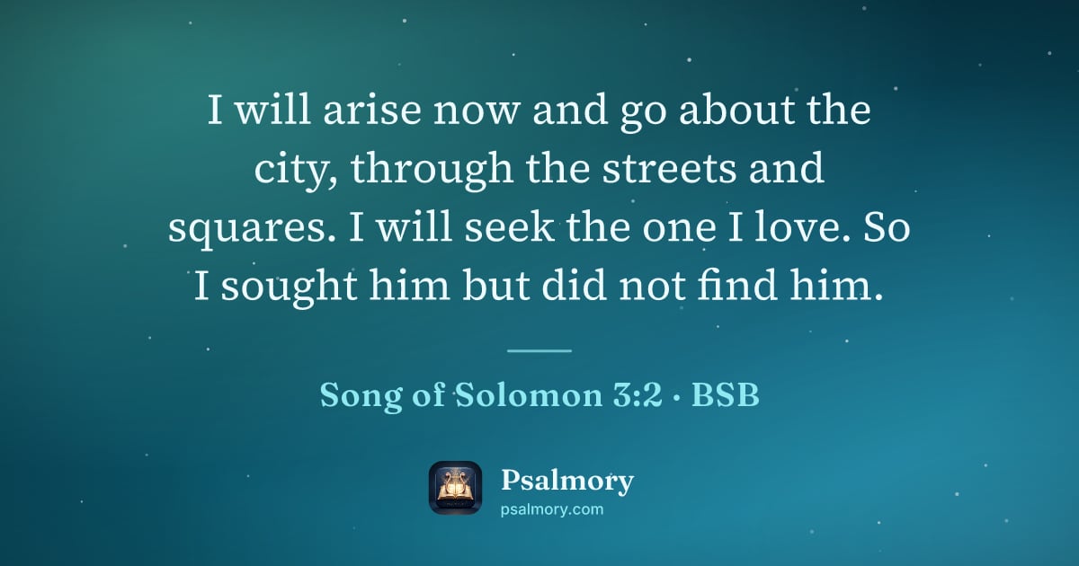 Song of Solomon 3:2 verse artwork: I will arise now and go about the city, through the streets and squares. I will seek the…