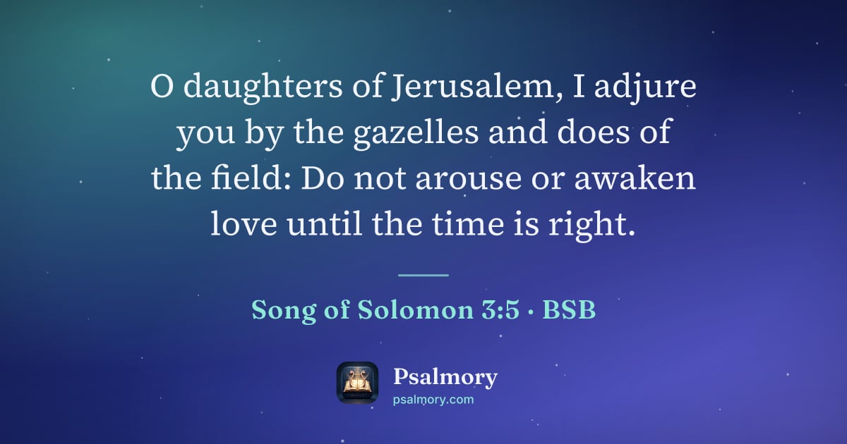 Song of Solomon 3:5 verse artwork: O daughters of Jerusalem, I adjure you by the gazelles and does of the field: Do not…