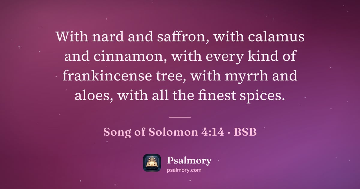 Song of Solomon 4:14 verse artwork: With nard and saffron, with calamus and cinnamon, with every kind of frankincense tree,…