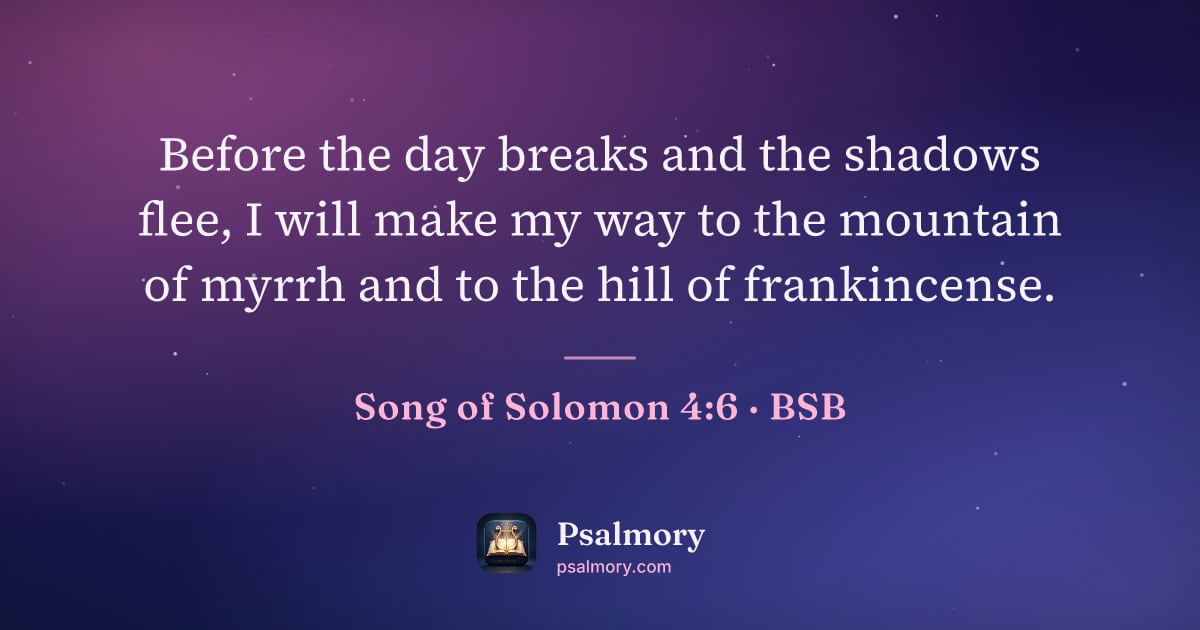 Song of Solomon 4:6 verse artwork: Before the day breaks and the shadows flee, I will make my way to the mountain of myrrh…