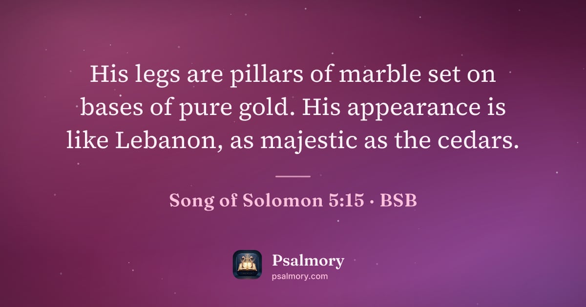 Song of Solomon 5:15 verse artwork: His legs are pillars of marble set on bases of pure gold. His appearance is like…