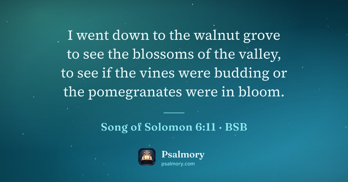 Song of Solomon 6:11 verse artwork: I went down to the walnut grove to see the blossoms of the valley, to see if the vines…