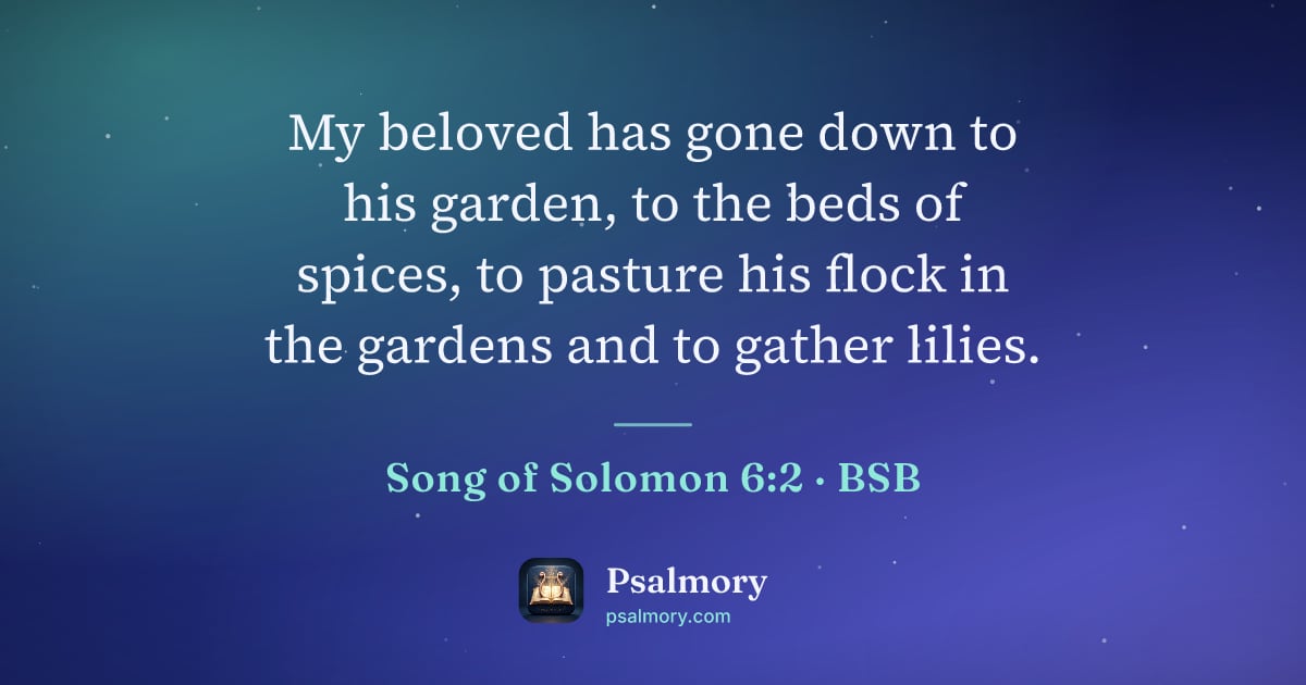 Song of Solomon 6:2 verse artwork: My beloved has gone down to his garden, to the beds of spices, to pasture his flock in…