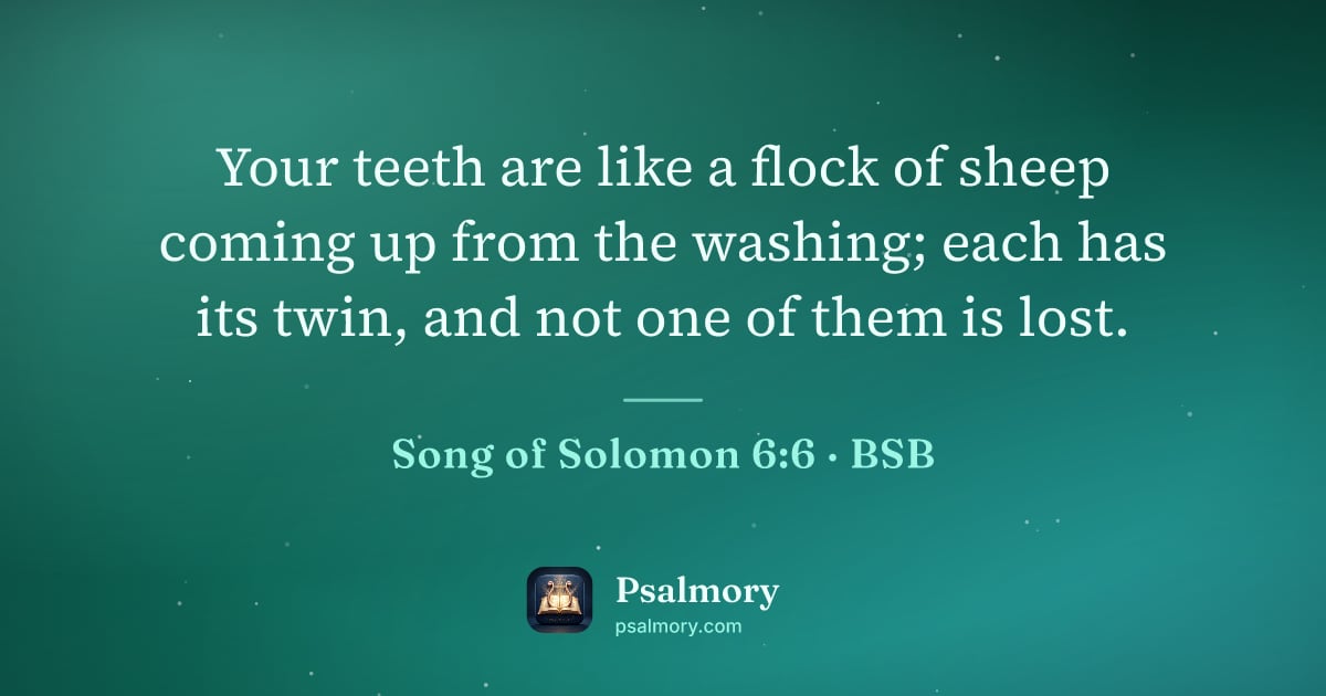 Song of Solomon 6:6 verse artwork: Your teeth are like a flock of sheep coming up from the washing; each has its twin, and…
