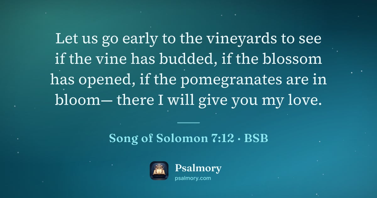 Song of Solomon 7:12 verse artwork: Let us go early to the vineyards to see if the vine has budded, if the blossom has…