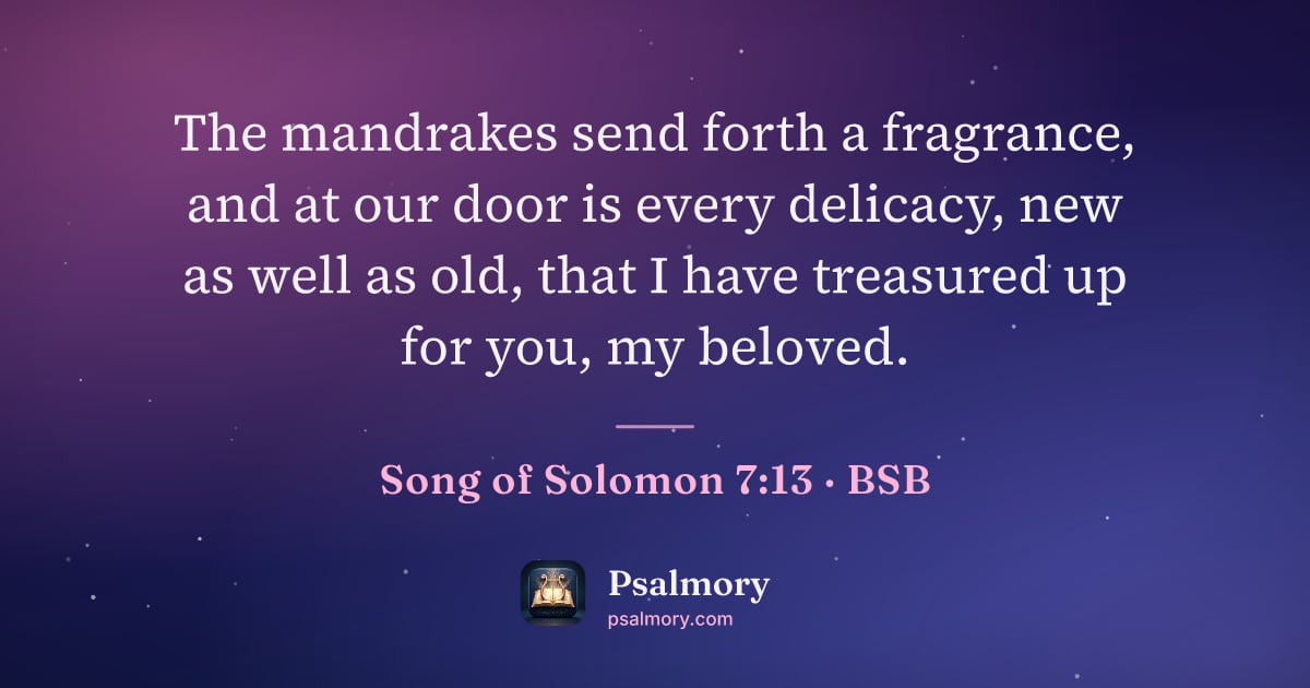 Song of Solomon 7:13 verse artwork: The mandrakes send forth a fragrance, and at our door is every delicacy, new as well as…