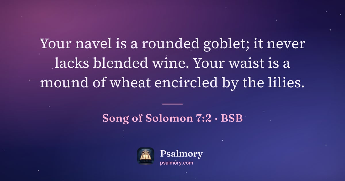 Song of Solomon 7:2 verse artwork: Your navel is a rounded goblet; it never lacks blended wine. Your waist is a mound of…