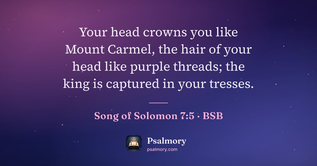 Song of Solomon 7:5 verse artwork: Your head crowns you like Mount Carmel, the hair of your head like purple threads; the…