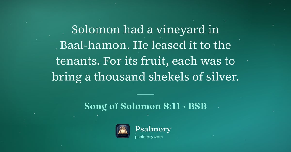 Song of Solomon 8:11 verse artwork: Solomon had a vineyard in Baal-hamon. He leased it to the tenants. For its fruit, each…