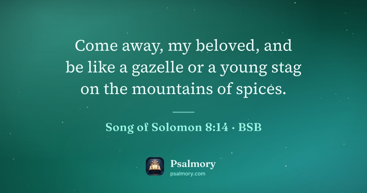 Song of Solomon 8:14 verse artwork: Come away, my beloved, and be like a gazelle or a young stag on the mountains of spices.