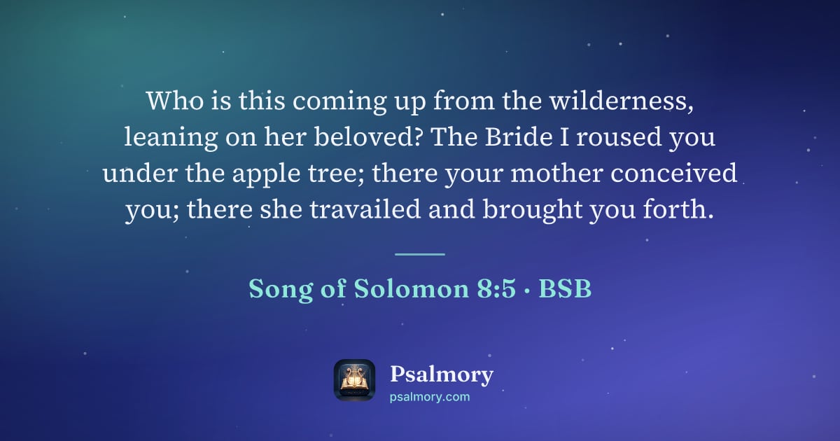 Song of Solomon 8:5 verse artwork: Who is this coming up from the wilderness, leaning on her beloved? The Bride I roused…