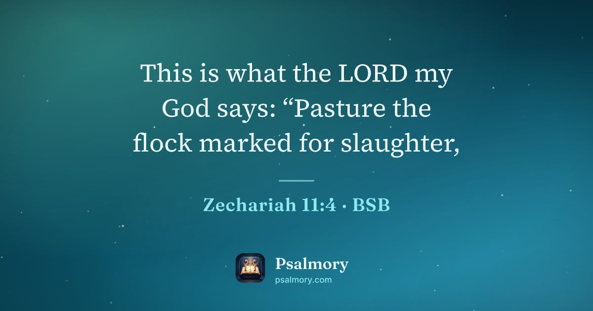 Zechariah 11:4 verse artwork: This is what the LORD my God says: “Pasture the flock marked for slaughter,