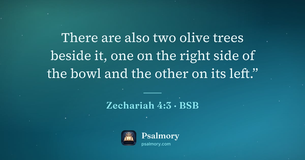 Zechariah 4:3 verse artwork: There are also two olive trees beside it, one on the right side of the bowl and the…